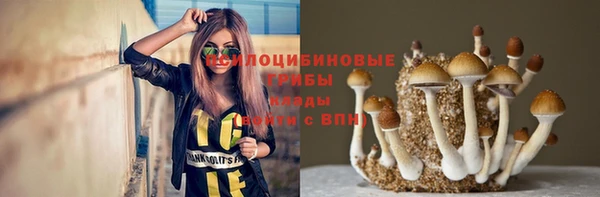 ешки Дмитриев