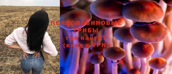 спайс Дмитров