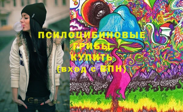 спайс Дмитров